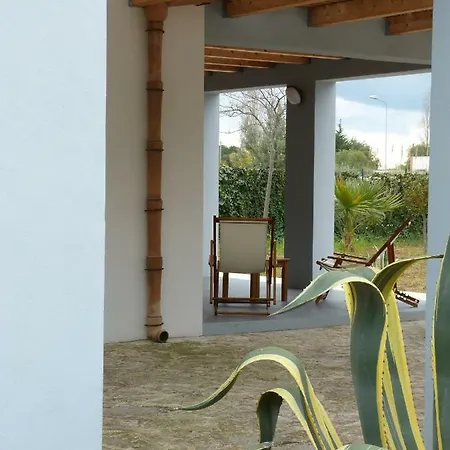 Il Mirto E L'agave *